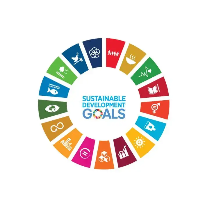 Sustainable Development Goals Logo